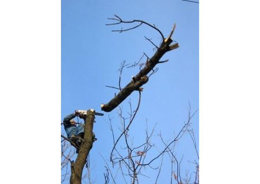 Демонтаж дач, домов, зданий, сооружений. Вывоз мусора с объектов.